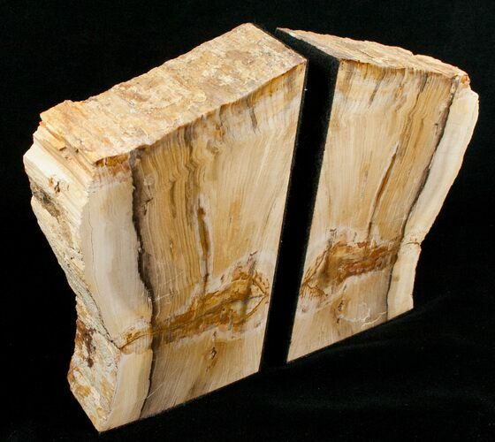 Small Sequoia Petrified Wood Bookends - Oregon #5045